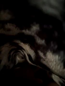 jackyw online show from November 21, 6:12 am