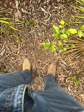 HorneyCowboy154 online show from April 19, 8:11 pm