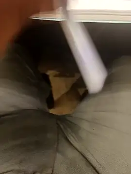 hotboy43339 online show from November 26, 9:56 am