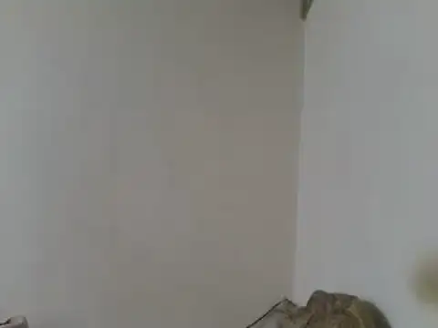 elpoop7305 online show from April 23, 7:49 pm