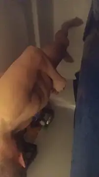 Pussyismyfavoritetaste online show from November 26, 11:46 am