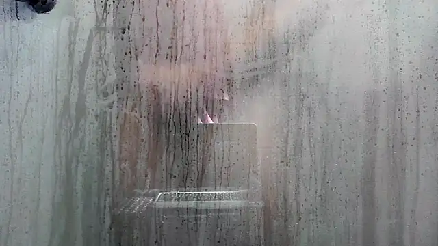 LicitInvader online show from August 4, 10:43 am