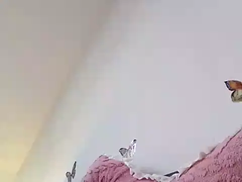 Hisnimin online show from February 5, 8:10 am