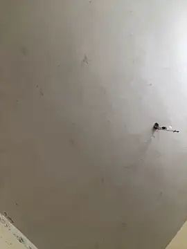 Snapshot of NonunionSilence chatting on October 21, 7:50 pm NonunionSilence online show from October 21, 7:50 pm