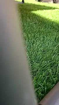 Worppp online show from March 18, 2:31 pm