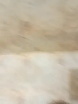 king godgm online show from December 20, 1:35 am