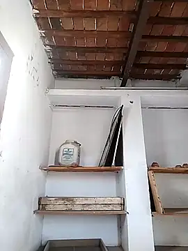 PunjabiSardarBull online show from April 21, 3:02 am