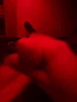 Tomek2224 online show from October 14, 1:45 am