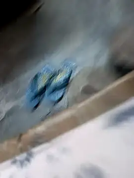 Sonukumar202000 online show from October 20, 5:39 pm