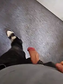 stunning stallion online show from February 6, 3:20 pm