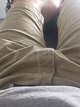 stunning stallion online show from April 19, 2:05 pm