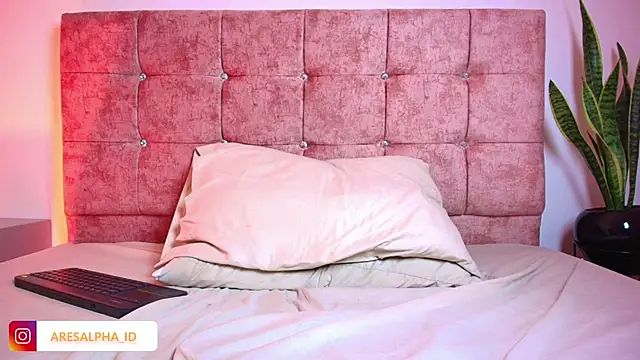 Ares Alpha online show from November 15, 9:28 pm