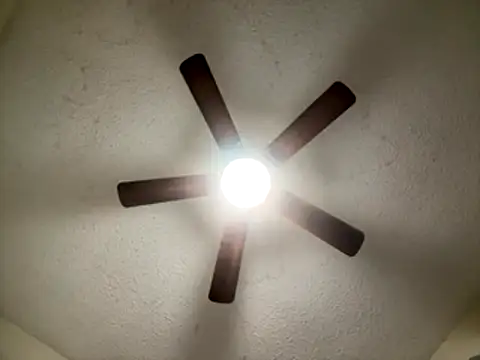 Vic2Big online show from November 13, 9:58 am