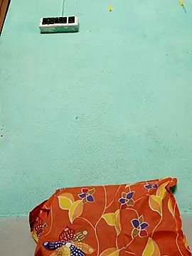 ShinuRoy online show from November 25, 12:23 am