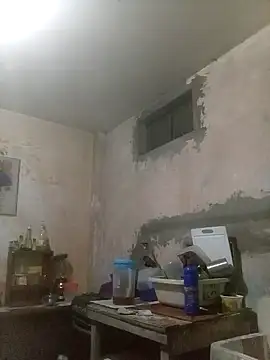 Bebicho14 online show from November 8, 6:27 am