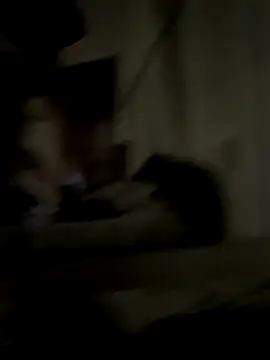 dogslavehf online show from October 19, 8:06 am