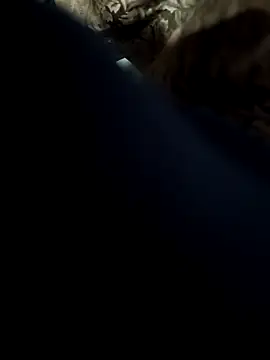 Aaia93 online show from October 8, 8:18 am