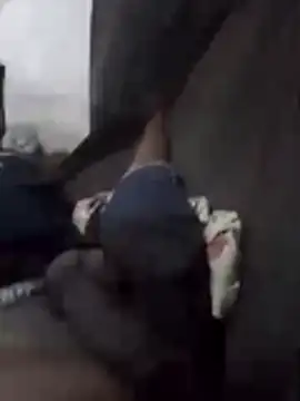 pauzao23vm online show from March 17, 3:31 am