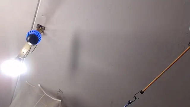 BiglovelyXXL online show from January 10, 9:46 am