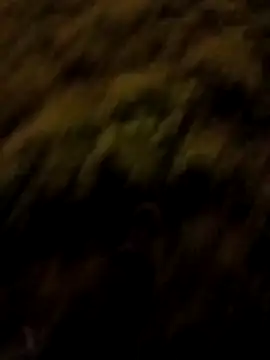 oliver sanders online show from March 22, 7:30 pm