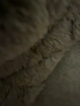 geilerbigdick02 online show from January 19, 12:35 am