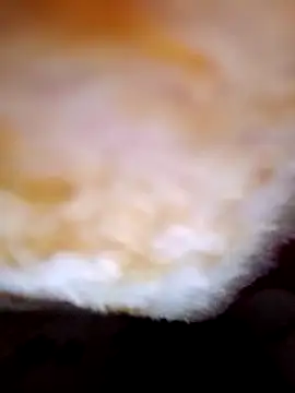 alone boy802 online show from October 10, 4:23 pm