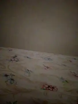 SALCEDO 041198 online show from November 20, 11:31 am