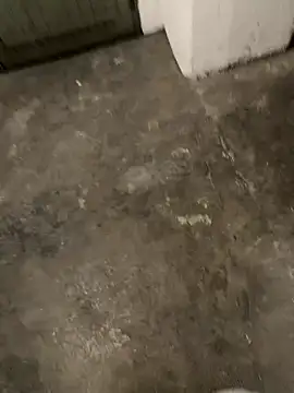 gptre online show from October 2, 7:56 am