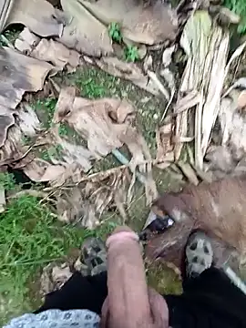 Sikici0734 online show from November 13, 9:25 am