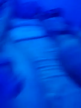 Cassal20 online show from October 5, 4:27 am