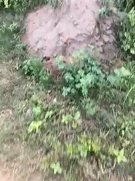 MalickKai online show from October 14, 10:44 am