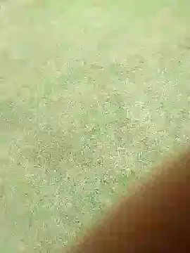 camilo44467 online show from November 30, 5:37 pm