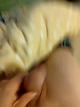 Graimito online show from March 3, 3:41 pm