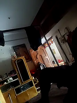 play boy-raj007 online show from April 22, 7:35 am