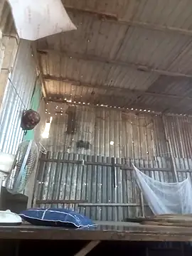 Dothanhthuan555 online show from March 25, 2:48 am