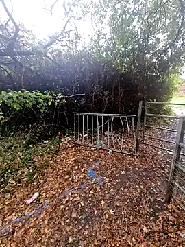 bbyxklaus online show from October 20, 11:47 am