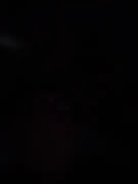 wellingtonmds online show from November 14, 1:42 am