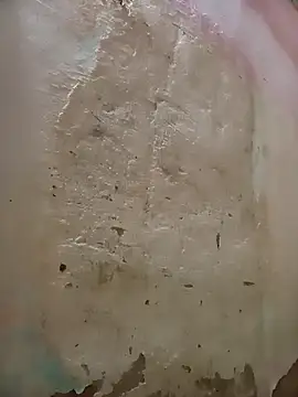 Jorgebenitez 1 online show from October 27, 9:06 pm