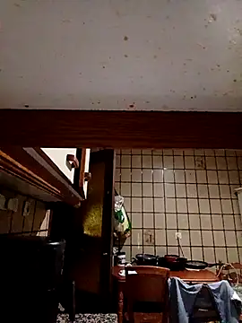 Morenitorico01 online show from November 6, 5:38 pm