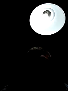 calitox1995 online show from April 12, 10:06 am