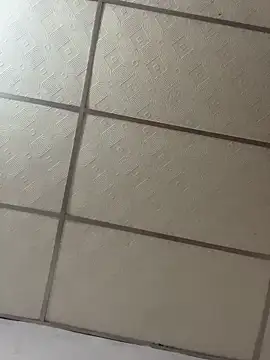 meliodas 23cm online show from March 11, 4:41 am