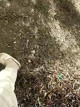 NovaCharm online show from November 26, 9:56 am