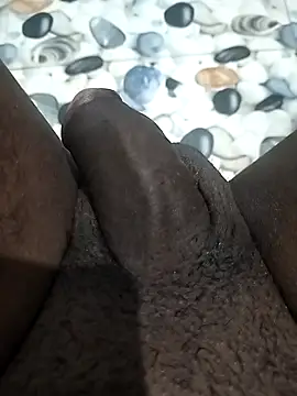 LEOMEGHA2026 online show from November 10, 5:40 pm