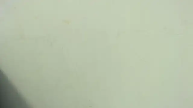 thiagoramirez  online show from November 11, 1:10 am