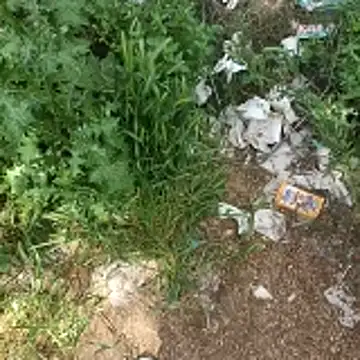 topman      online show from April 19, 10:15 am