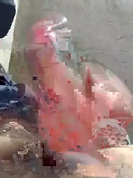 joselo2217 online show from March 24, 8:46 pm