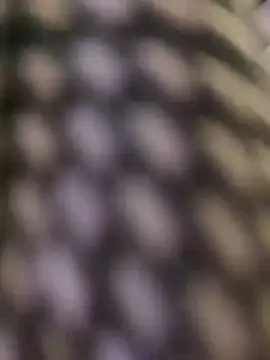 nightbound99 online show from April 22, 7:18 pm