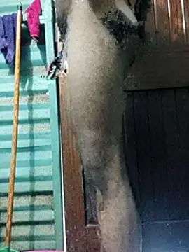 Bafana1998 online show from December 17, 3:58 am