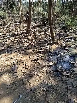 88zaifkhan88 online show from January 12, 5:55 am