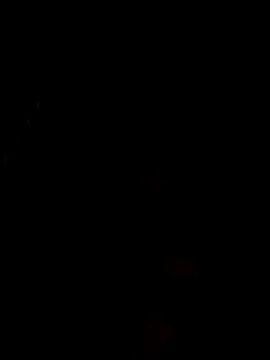 ete-pau online show from December 2, 3:31 am